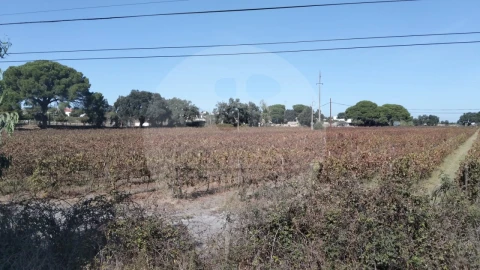 Terreno para Venda em Poceirão e Marateca