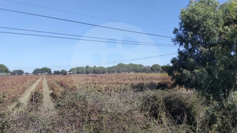 Terreno para Venda em Poceirão e Marateca