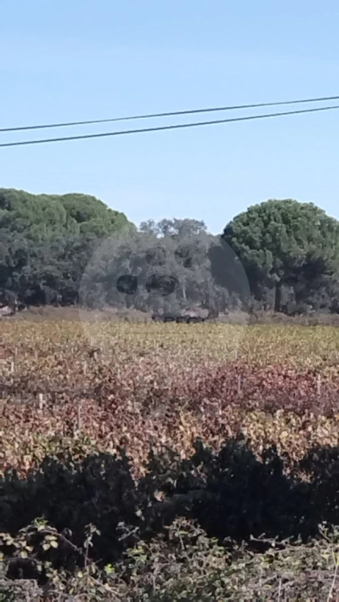 Terreno para Venda em Poceirão e Marateca