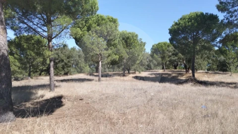 Terreno para Venda em Poceirão e Marateca