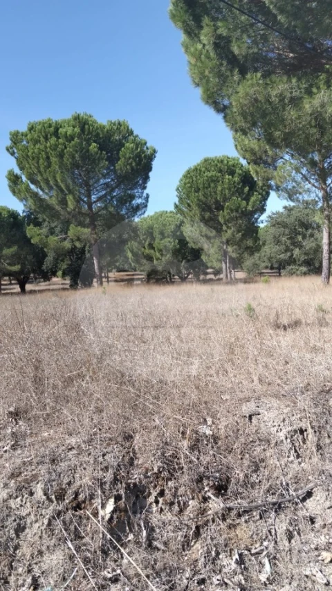 Terreno para Venda em Poceirão e Marateca