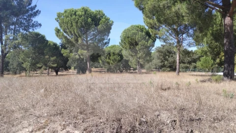 Terreno para Venda em Poceirão e Marateca