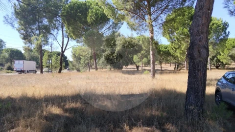 Terreno para Venda em Poceirão e Marateca