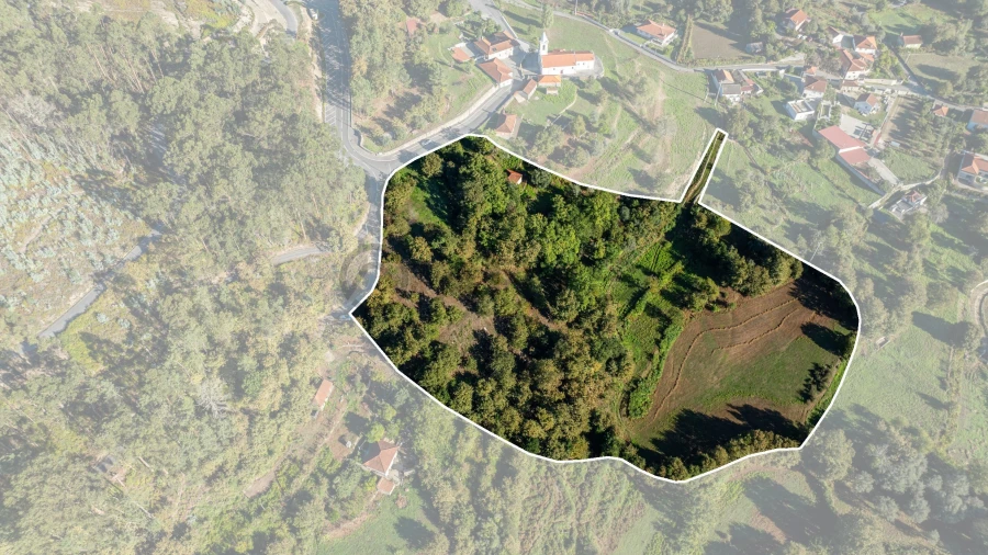 Terreno para Venda em Prozelo