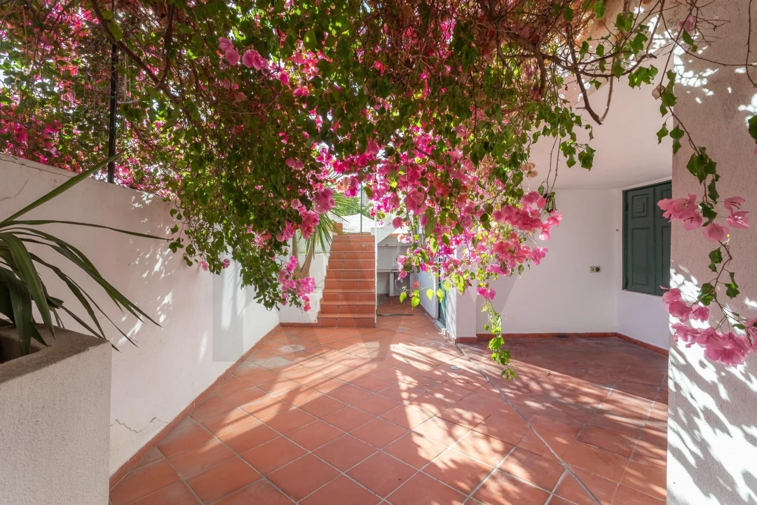 Apartamento T3 para Venda em Avenidas Novas Foto 46