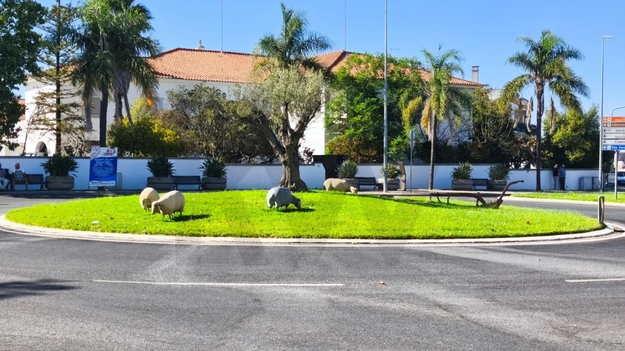Moradia T5 para Venda em Castro Verde e Casével Foto 29