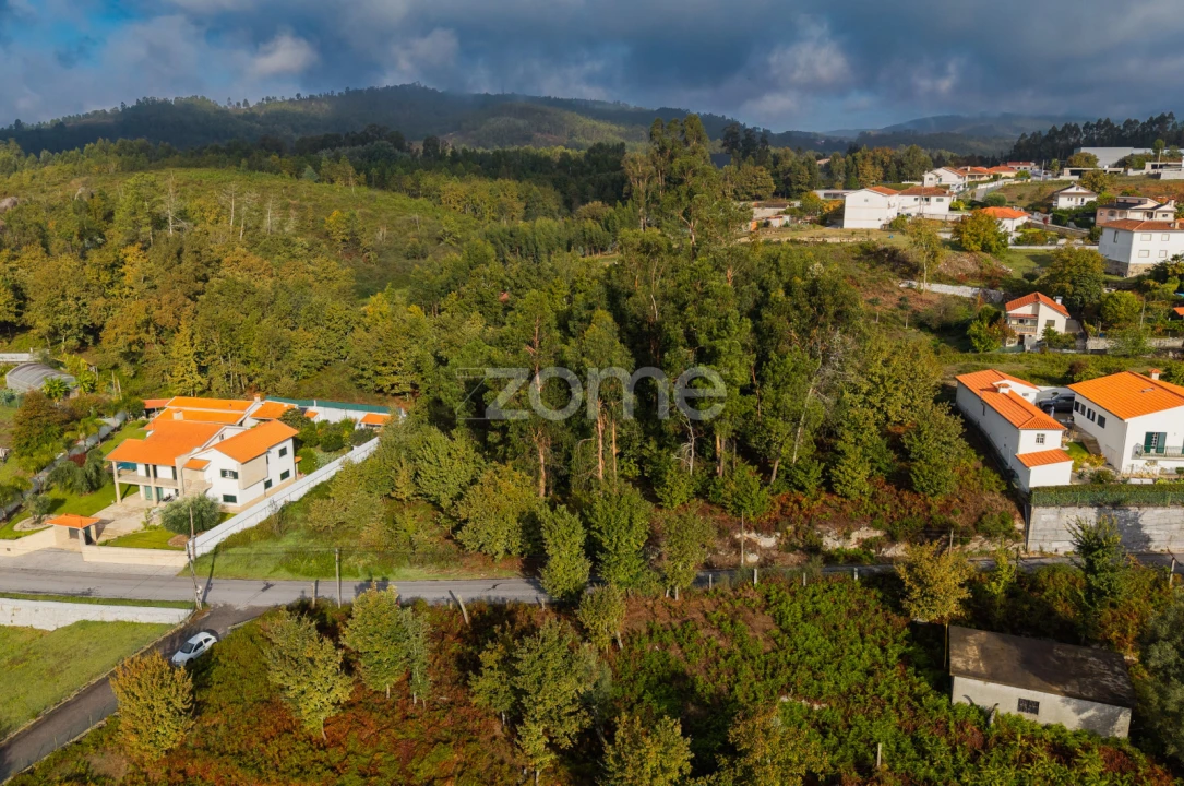 Terreno para Venda em Taide Foto 9