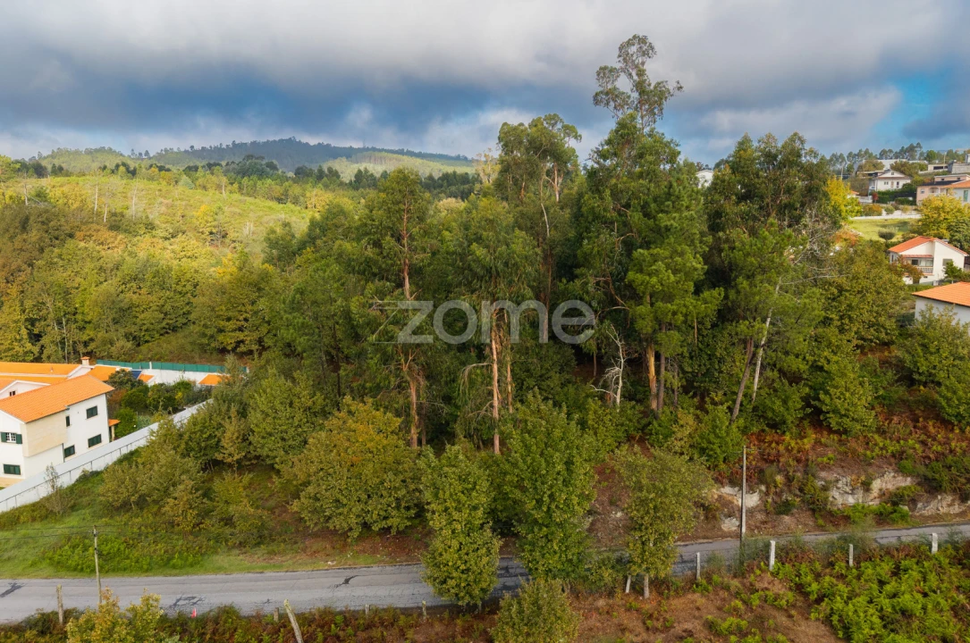 Terreno para Venda em Taide Foto 10