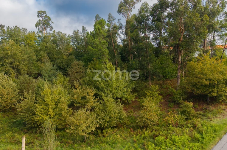Terreno para Venda em Taide Foto 18