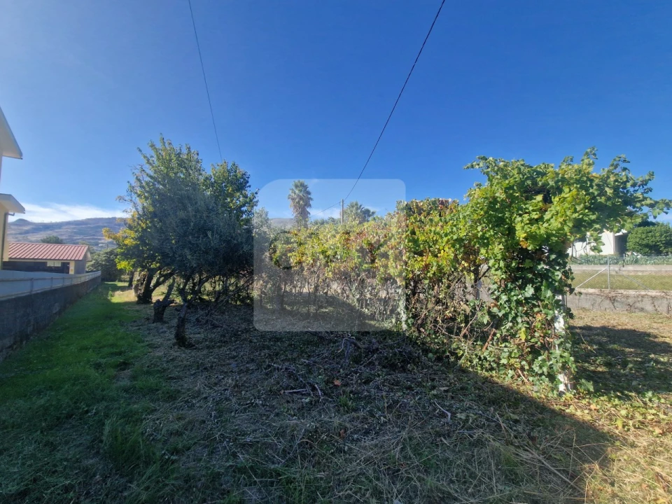 Moradia T3 para Venda em Adoufe e Vilarinho de Samardã Foto 5