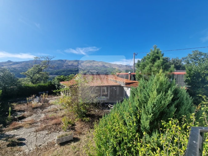 Moradia T3 para Venda em Adoufe e Vilarinho de Samardã Foto 17