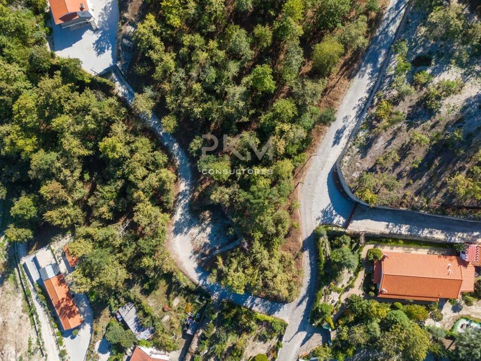 Terreno para Venda em Vila Chã do Marão Foto 13