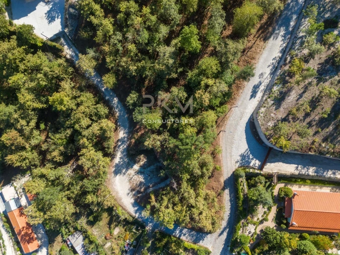 Terreno para Venda em Vila Chã do Marão Foto 12