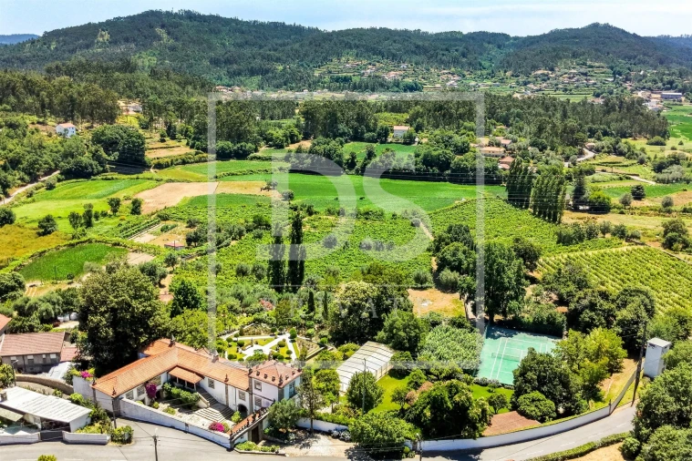 Quinta T21 para Venda em Ardegão, Freixo e Mato Foto 13