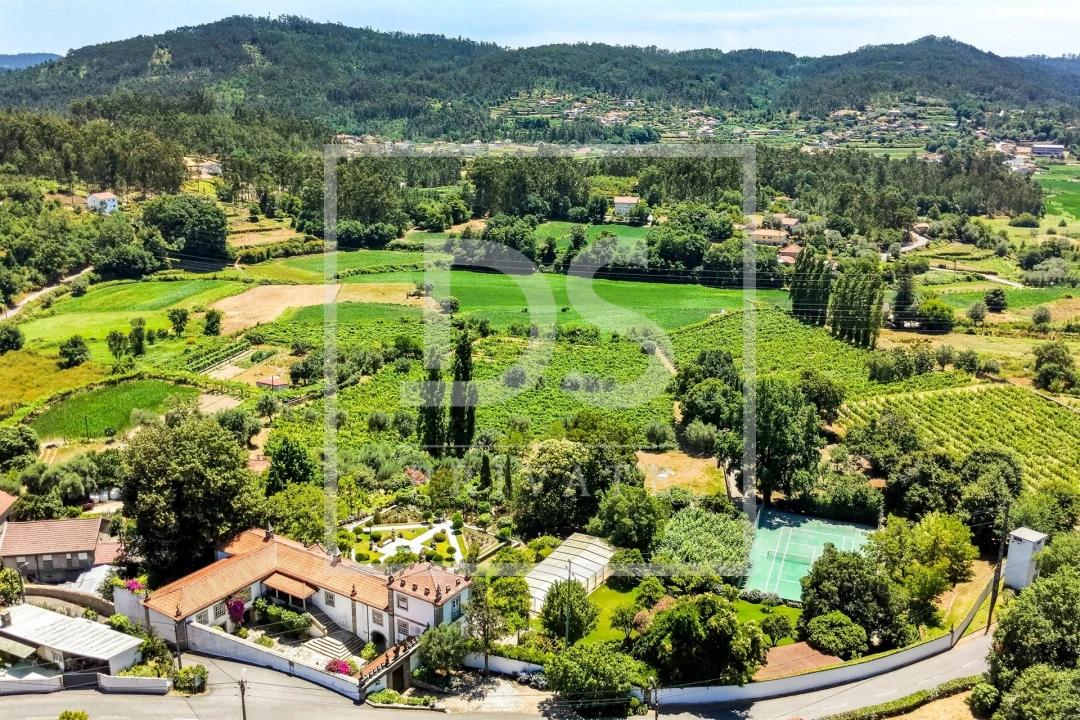 Quinta T21 para Venda em Ardegão, Freixo e Mato Foto 13