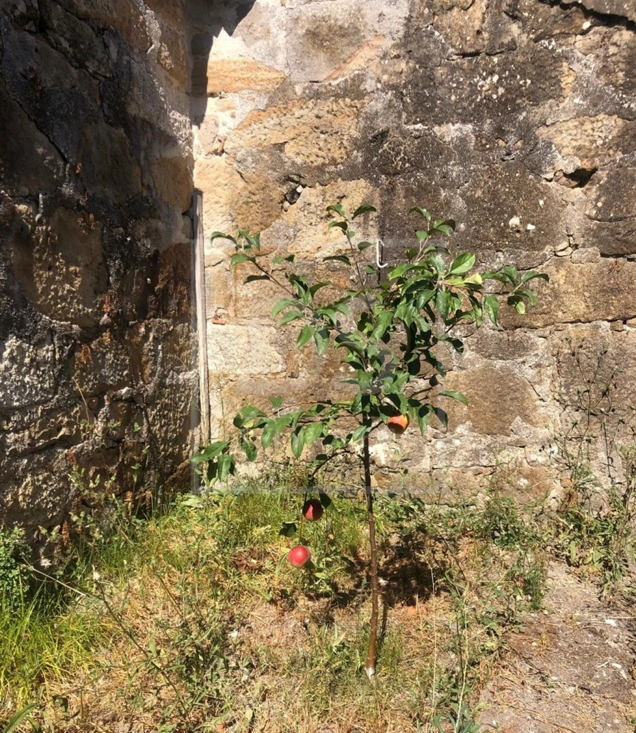 Moradia T3 para Venda em Gondomar (São Cosme), Valbom e Jovim Foto 25
