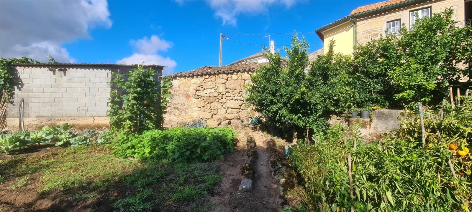 Moradia T2 para Venda em Antas e Matela Foto 20