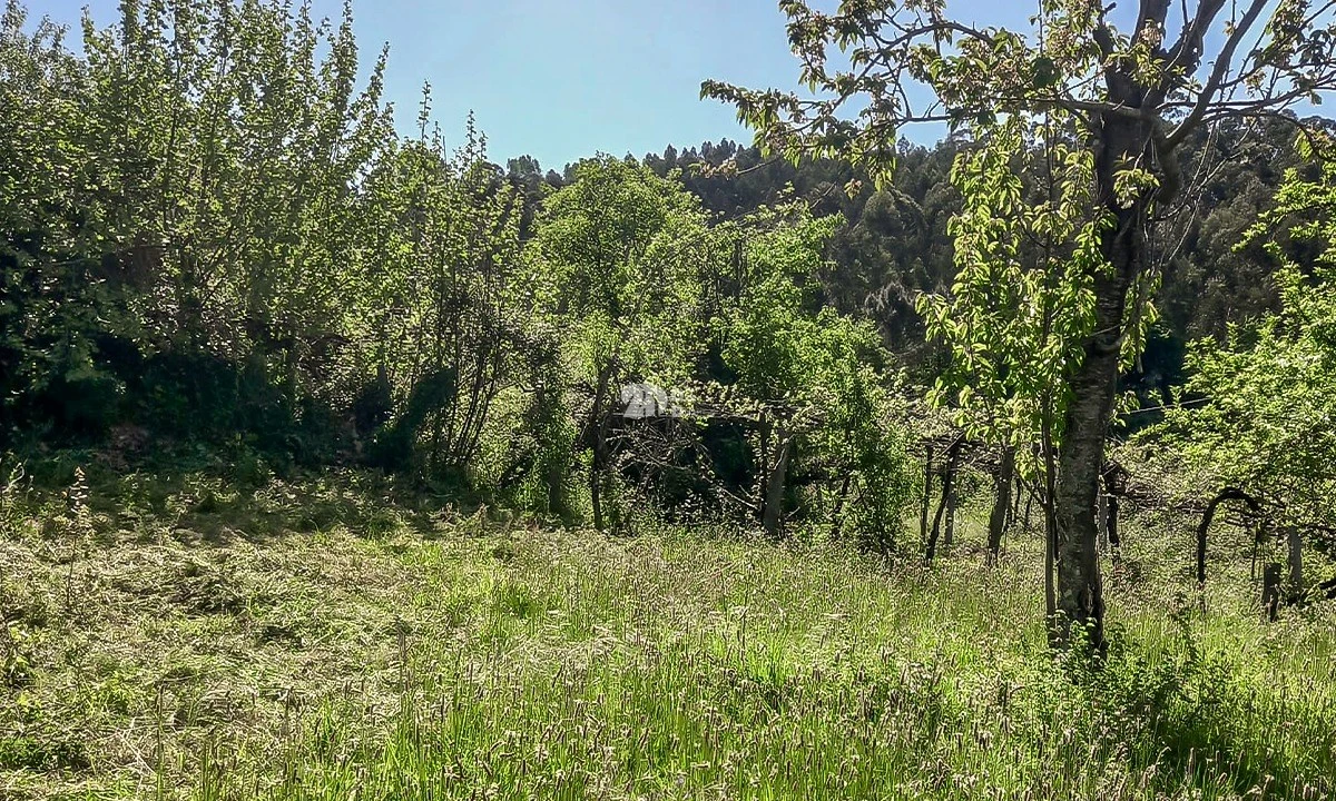 Moradia T2 para Venda em Margaride, Várzea, Lagares, Varziela, Moure Foto 7