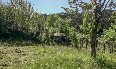 Moradia T2 para Venda em Margaride, Várzea, Lagares, Varziela, Moure