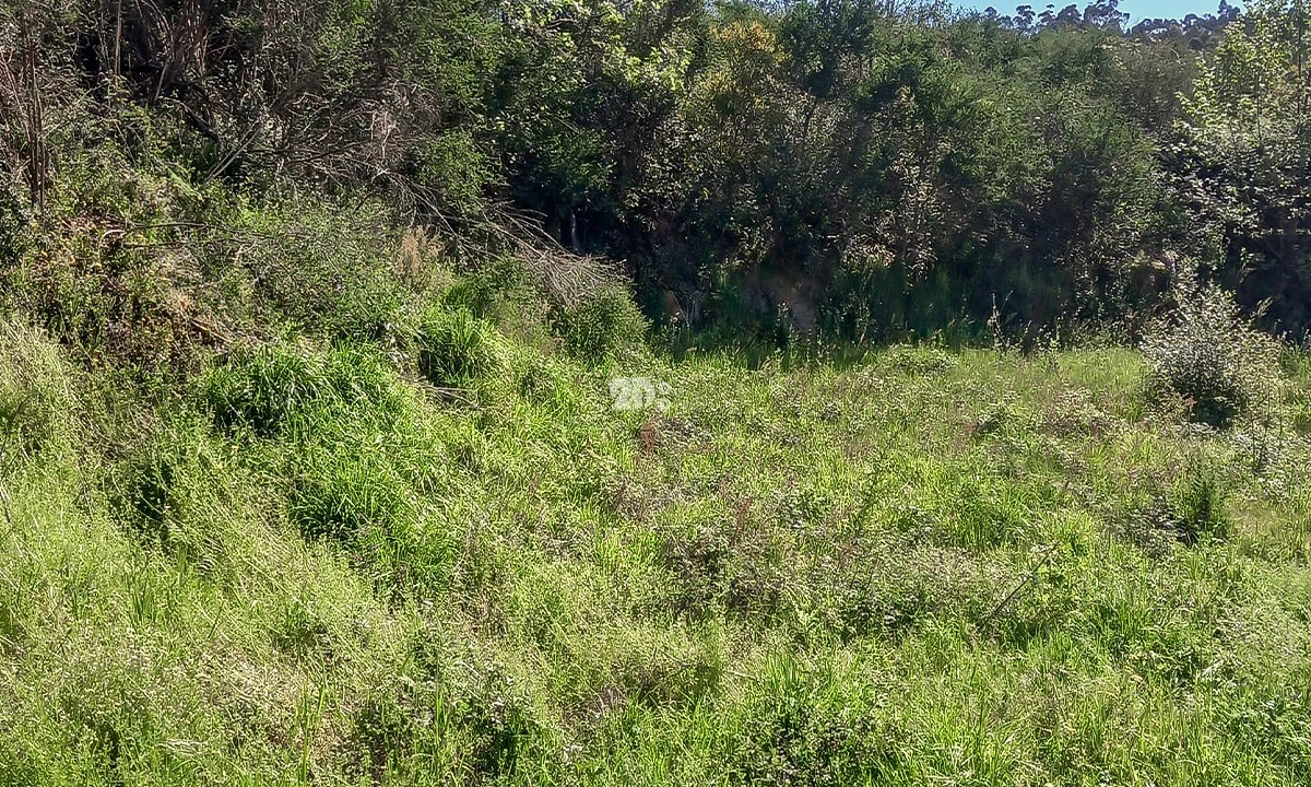 Moradia T2 para Venda em Margaride, Várzea, Lagares, Varziela, Moure Foto 1
