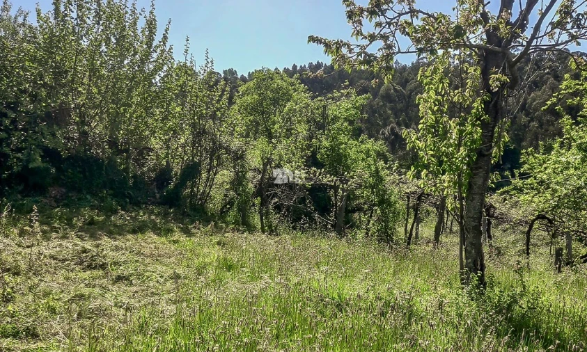 Moradia T2 para Venda em Margaride, Várzea, Lagares, Varziela, Moure Foto 7