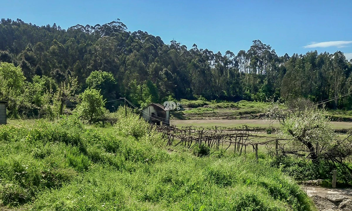 Moradia T2 para Venda em Margaride, Várzea, Lagares, Varziela, Moure Foto 13