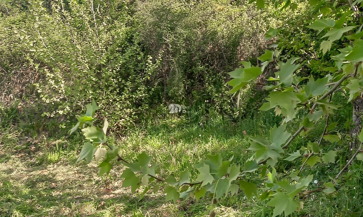 Moradia T2 para Venda em Margaride, Várzea, Lagares, Varziela, Moure Foto 3