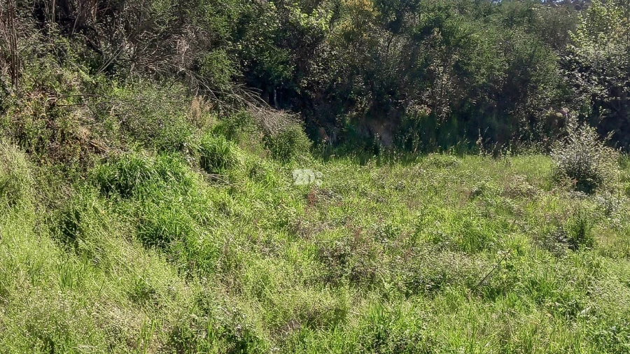 Moradia T2 para Venda em Margaride, Várzea, Lagares, Varziela, Moure