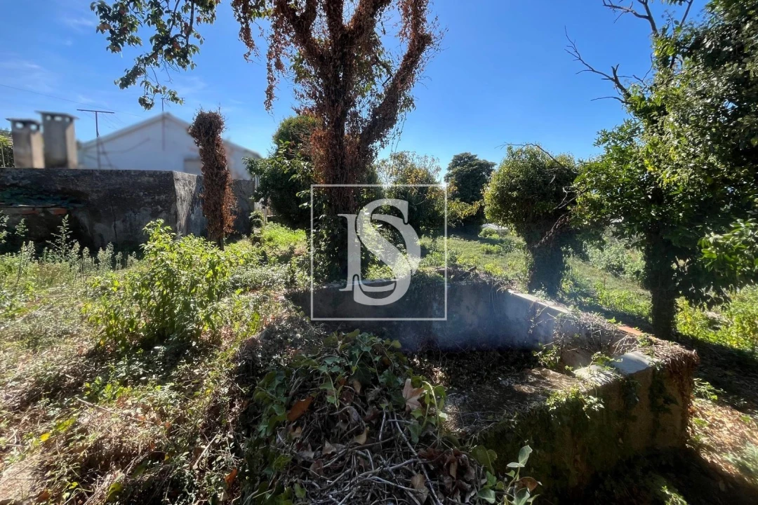 Moradia T3 para Venda em Tondela e Nandufe Foto 24