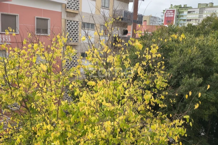 Apartamento T2 para Venda em Alvalade Foto 12