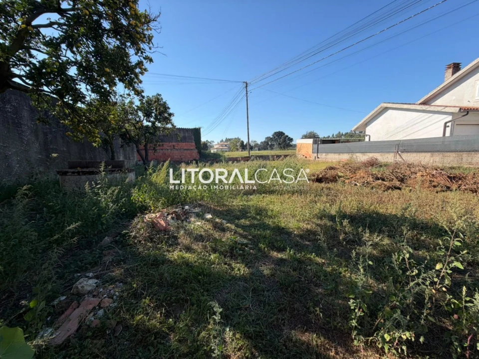 Terreno para Venda em Bustos, Troviscal e Mamarrosa Foto 5