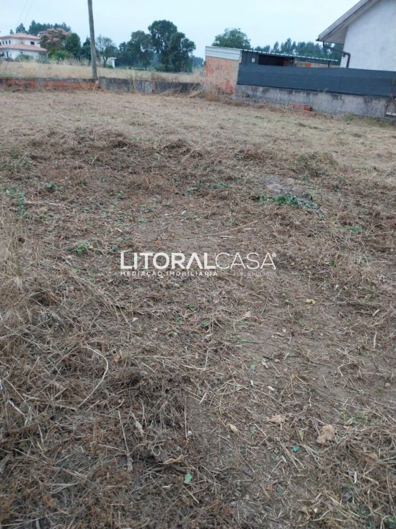 Terreno para Venda em Bustos, Troviscal e Mamarrosa Foto 8