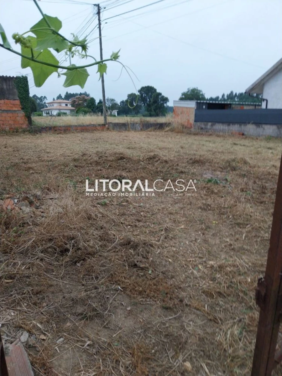 Terreno para Venda em Bustos, Troviscal e Mamarrosa Foto 9