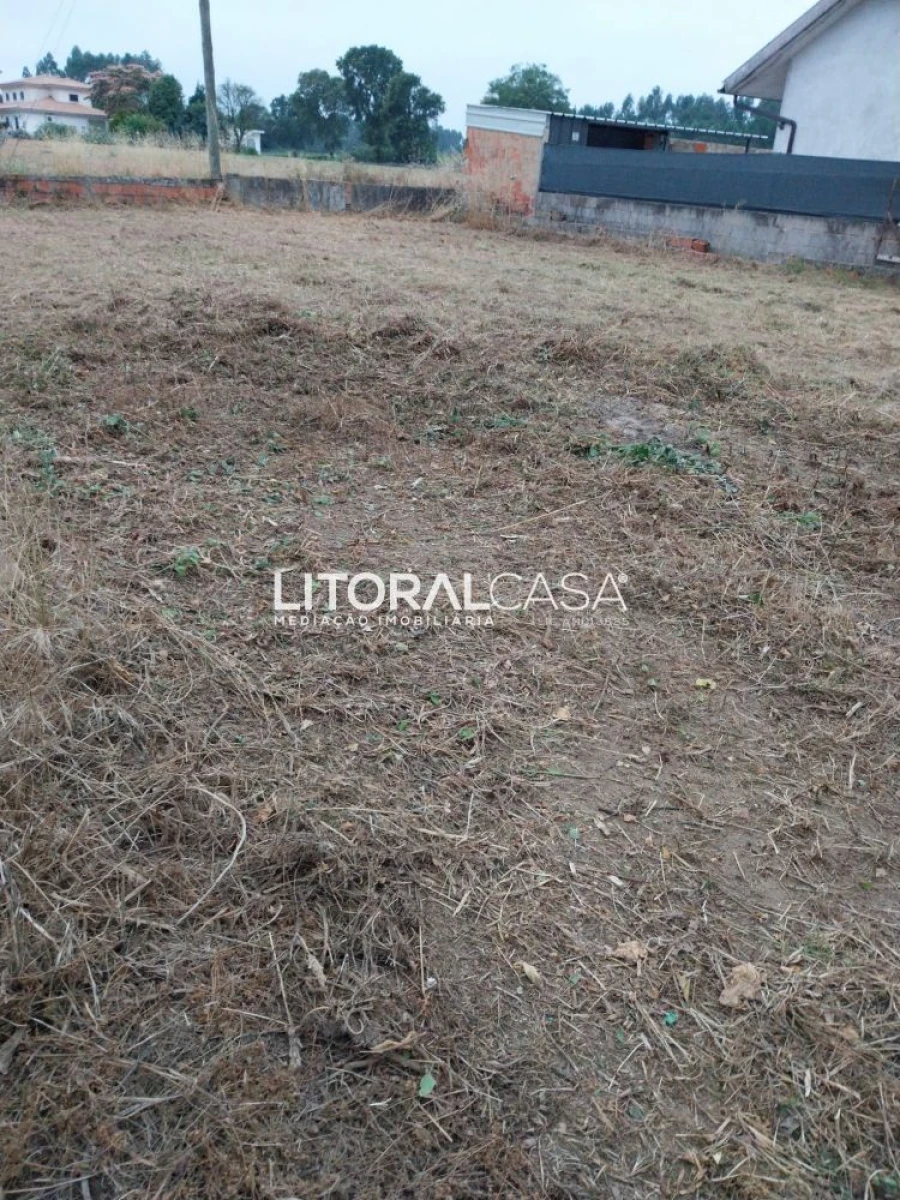 Terreno para Venda em Bustos, Troviscal e Mamarrosa Foto 8
