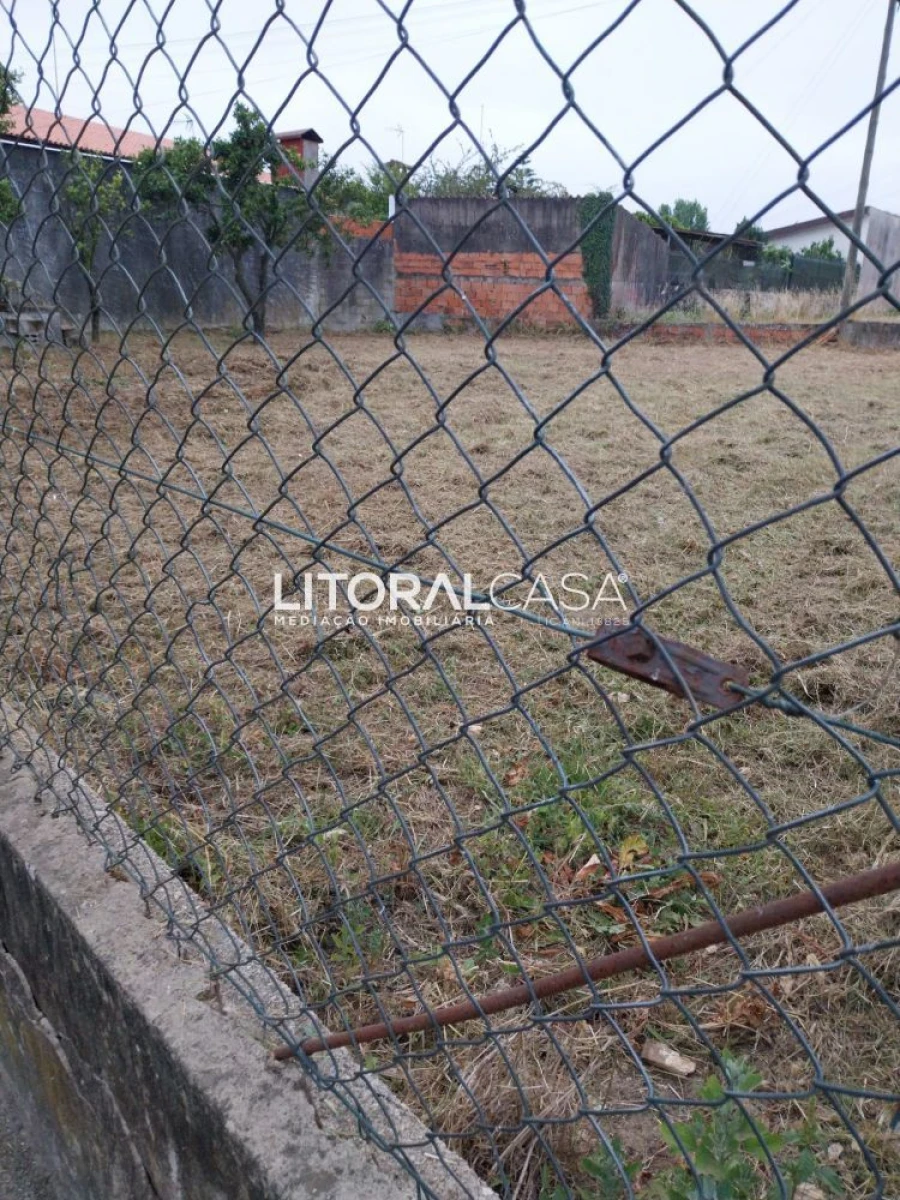 Terreno para Venda em Bustos, Troviscal e Mamarrosa Foto 7