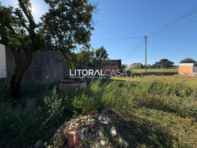 Terreno para Venda em Bustos, Troviscal e Mamarrosa Foto 2