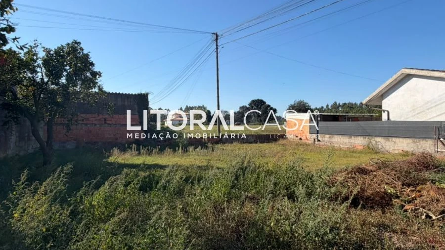 Terreno para Venda em Bustos, Troviscal e Mamarrosa