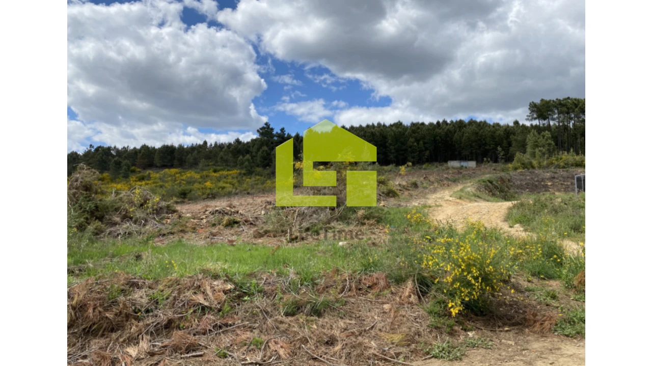 Terreno para Venda em Sabrosa Foto 4