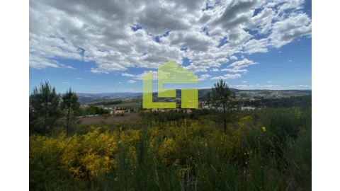 Terreno para Venda em Sabrosa