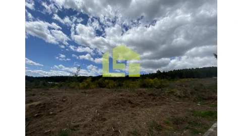 Terreno para Venda em Sabrosa