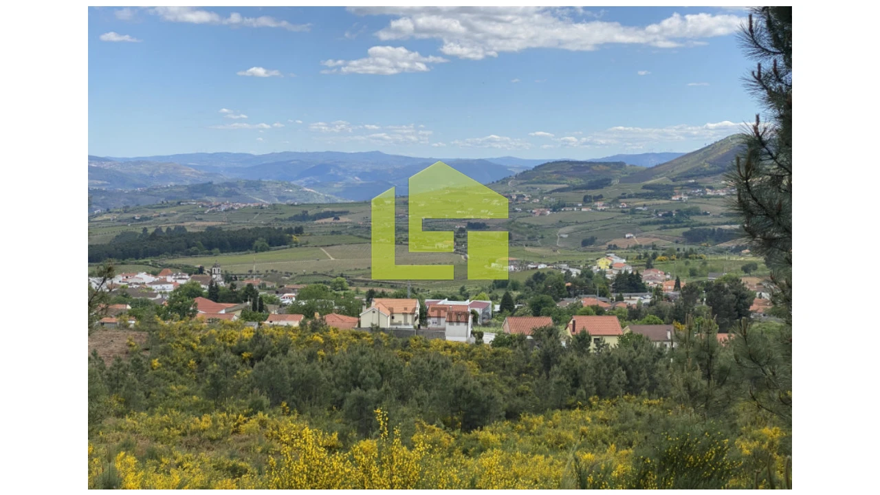 Terreno para Venda em Sabrosa Foto 2