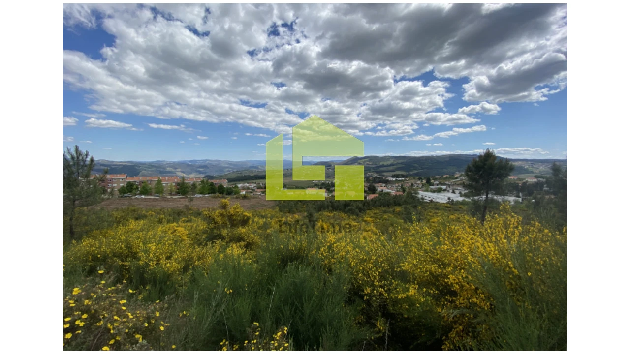 Terreno para Venda em Sabrosa Foto 8