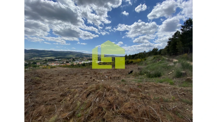 Terreno para Venda em Sabrosa Foto 12