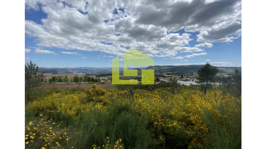 Terreno para Venda em Sabrosa Foto 8