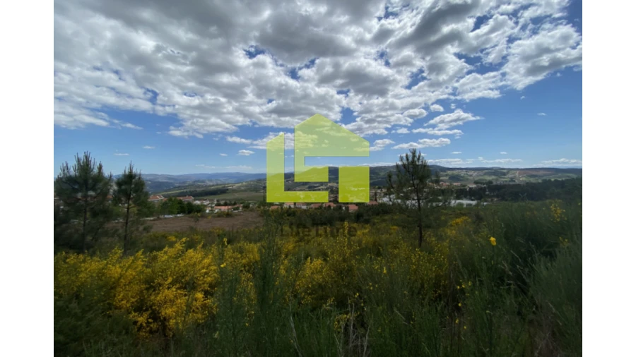 Terreno para Venda em Sabrosa Foto 9