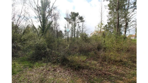 Terreno para Venda em Cernache