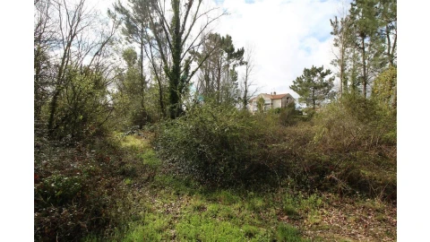 Terreno para Venda em Cernache