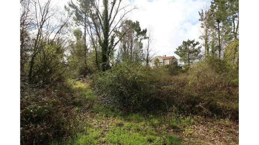 Terreno para Venda em Cernache Foto 2