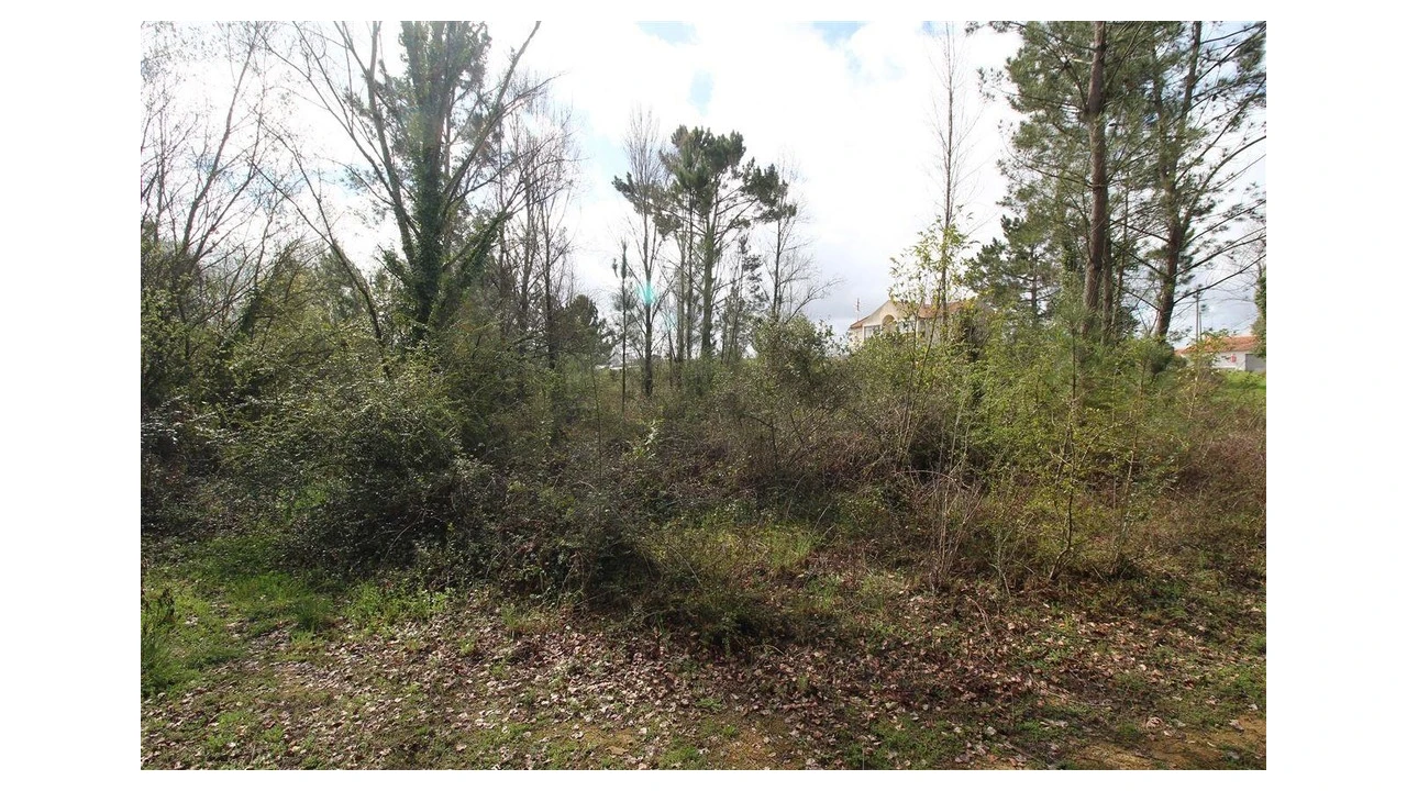 Terreno para Venda em Cernache Foto 1