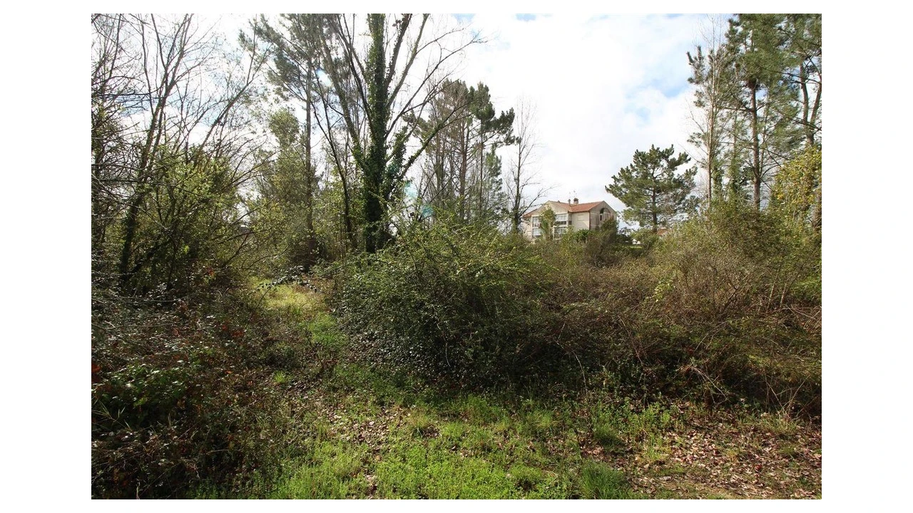 Terreno para Venda em Cernache Foto 2